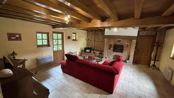 Televisión, chimenea y reproductor de DVD