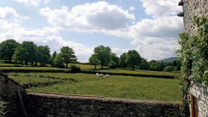 A stone wall and a grassy field with trees and a building in the background.