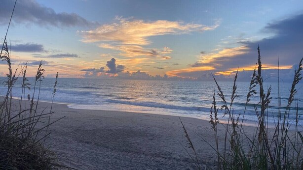 Una playa con olas, hierba y un atardecer.