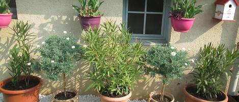 DĂ©tail de lâextĂ©rieur