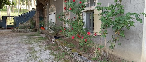 Property grounds