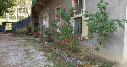 La Jeanne - TOURNUS - GĂźte