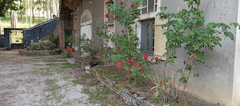 La Jeanne - Tournus - Gîte