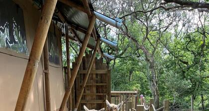Robin Hood Safari Tent