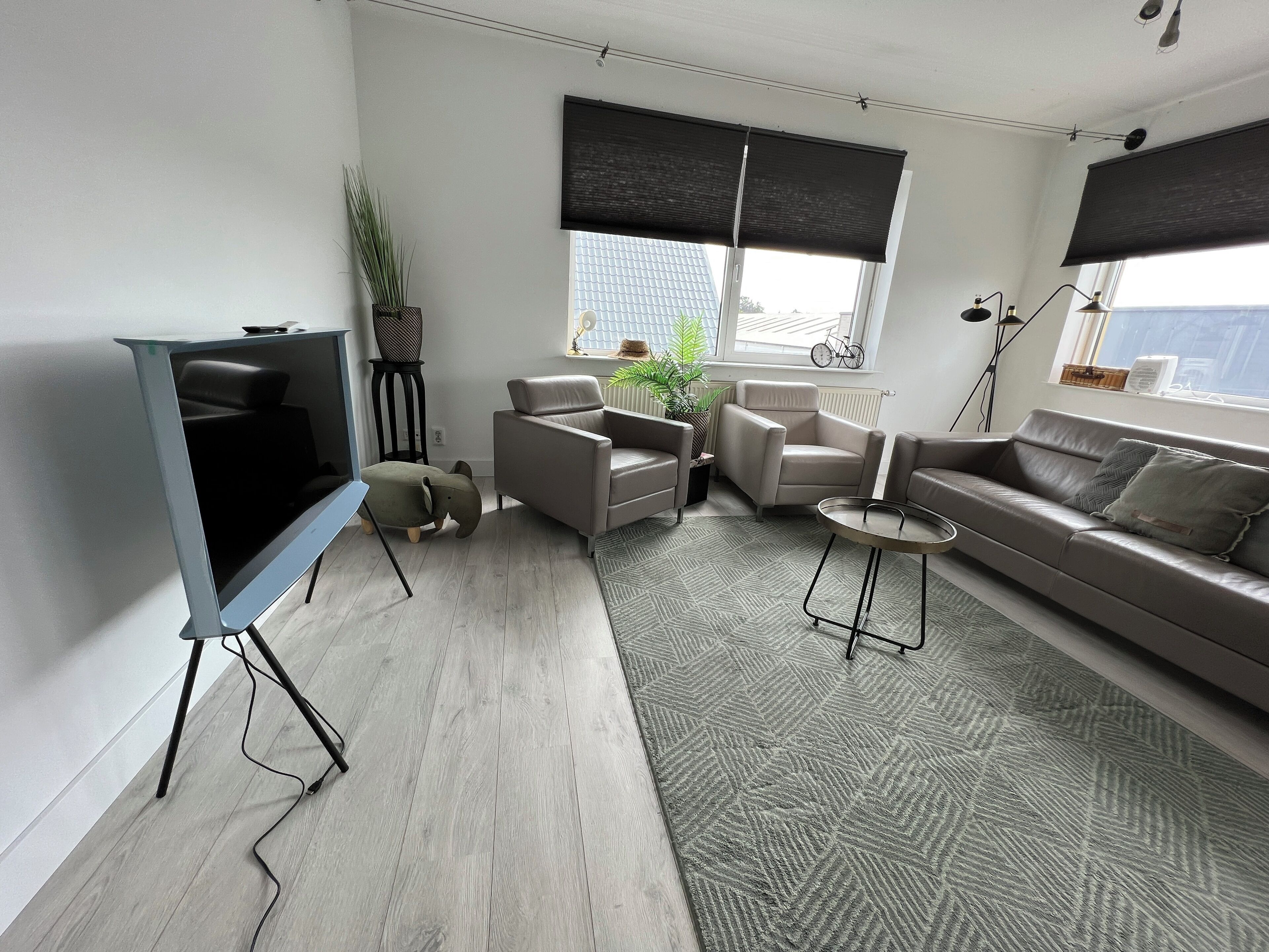 A modern living room with a flat-screen TV, two sofas, a coffee table, and a patterned rug.
