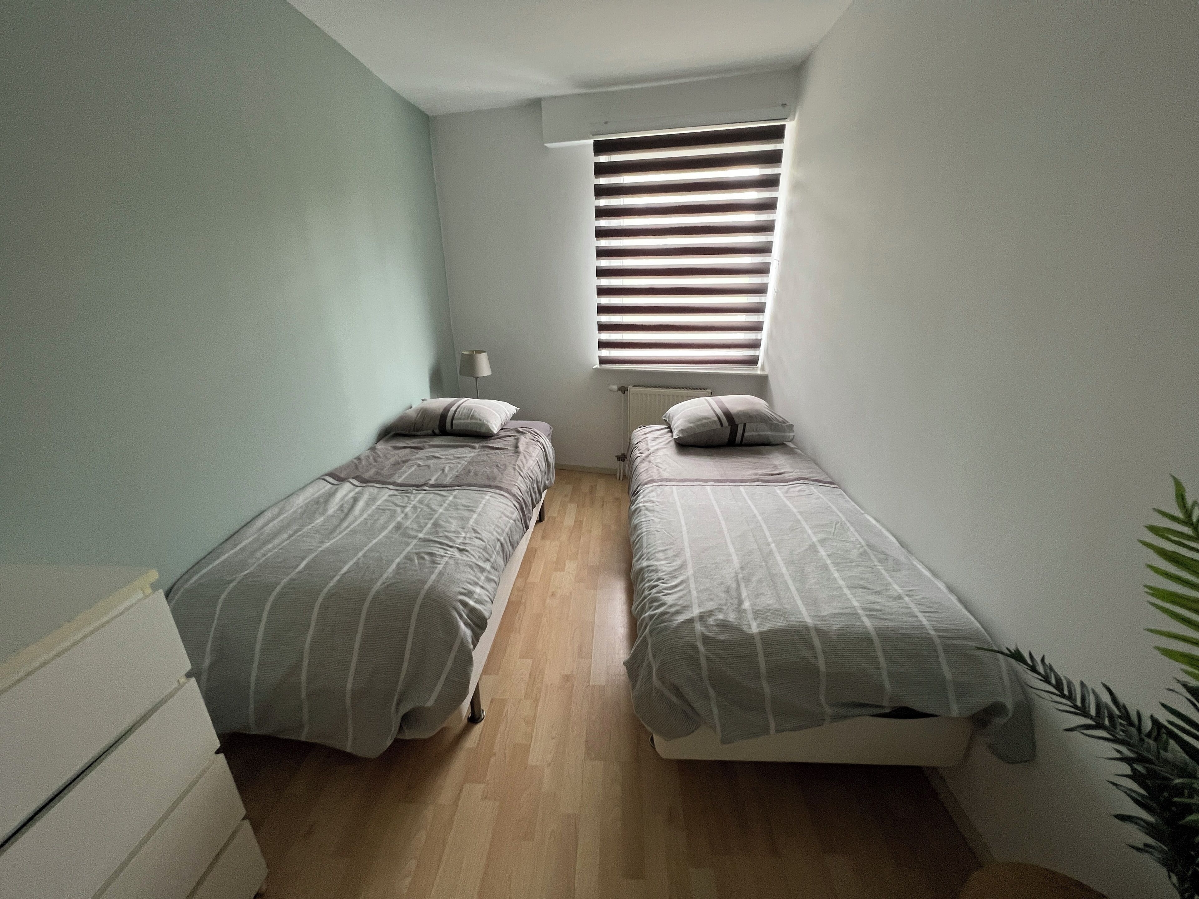 A small, narrow room with two single beds, a radiator, a window with blinds, and a plant.