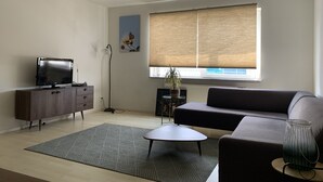 A modern living room with a flat-screen TV, a grey sofa, a coffee table, and a patterned rug. - Zaanse Schans Apartments (Wormer)