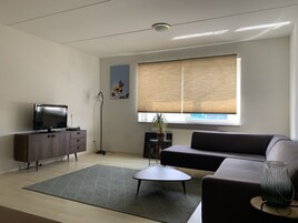 Basic Apartment | Living area | 41-inch flat-screen TV with digital channels, TV, Netflix
