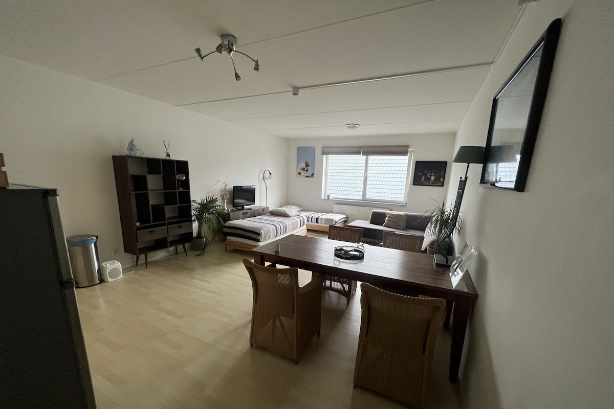 Basic Apartment | Living area | 41-inch flat-screen TV with digital channels, TV, Netflix