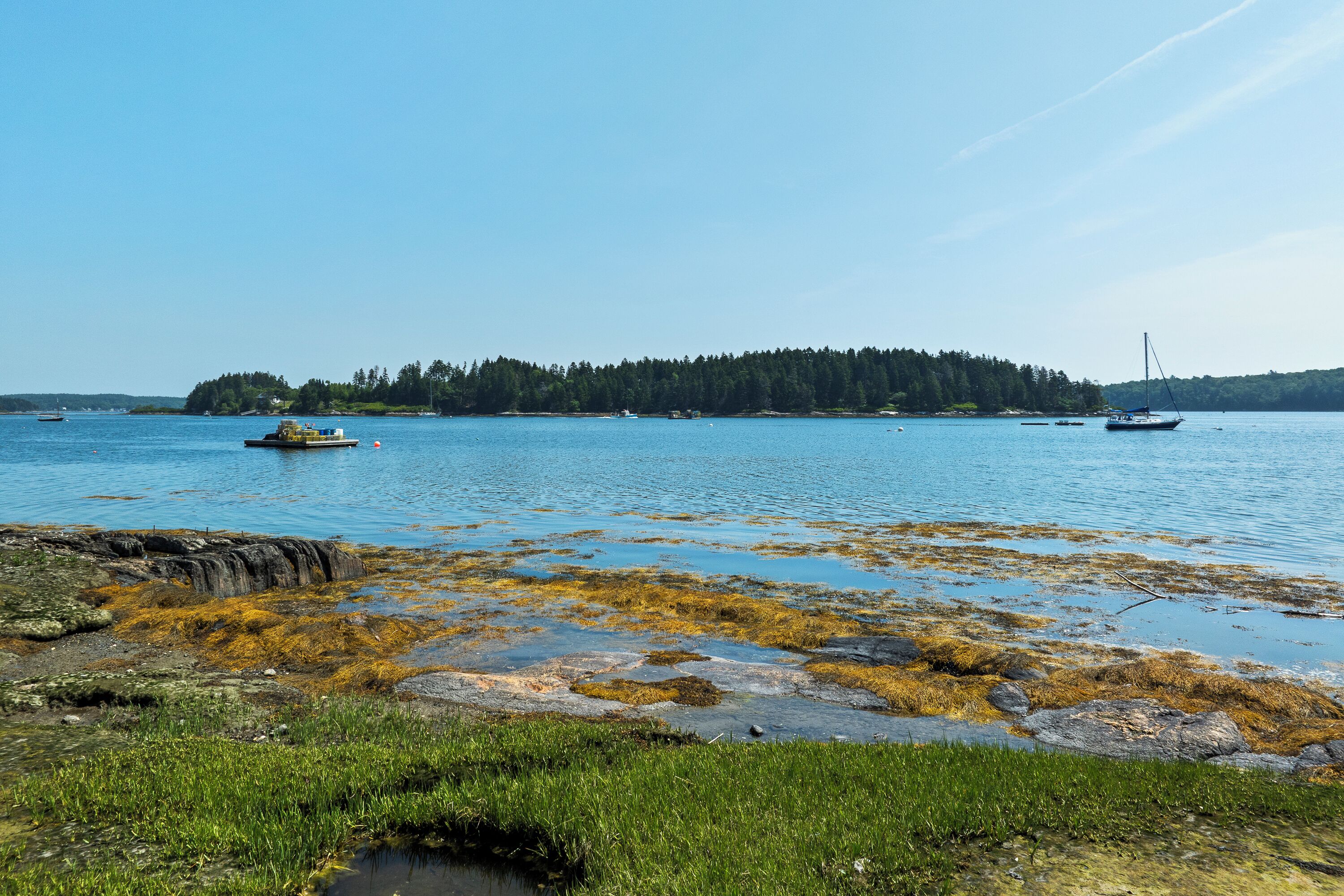 A coastal landscape with calm waters, a forested island in the distance, and boats on the water.