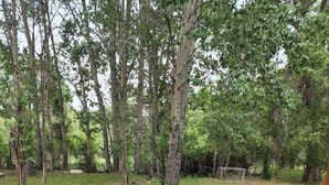 A wooden deck with red chairs, surrounded by a forested area. - The Bunkhouse-within walking distance to Main Street Augusta (Augustaa)