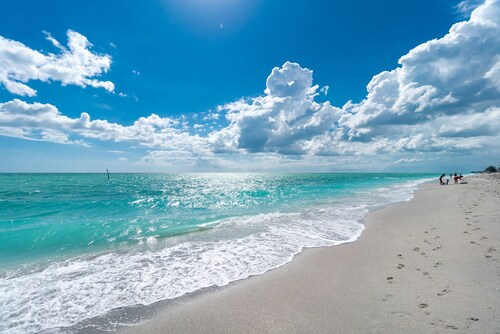 Amazing Gulf Beaches, Dearborn street min away. Heated Pool w/ Palm trees, Lanai