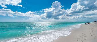 Amazing Gulf Beaches, Dearborn street min away. Heated Pool w/ Palm trees, Lanai