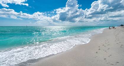 Amazing Gulf Beaches, Dearborn street min away. Heated Pool w/ Palm trees, Lanai
