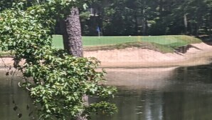 A tranquil outdoor setting with a pond, a tree, and a grassy area. - True Blue Comfy Condo! (Pawleys Island)