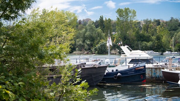 A marina with boats docked, surrounded by trees and a clear sky. - Le Jostel 2 (Genay)