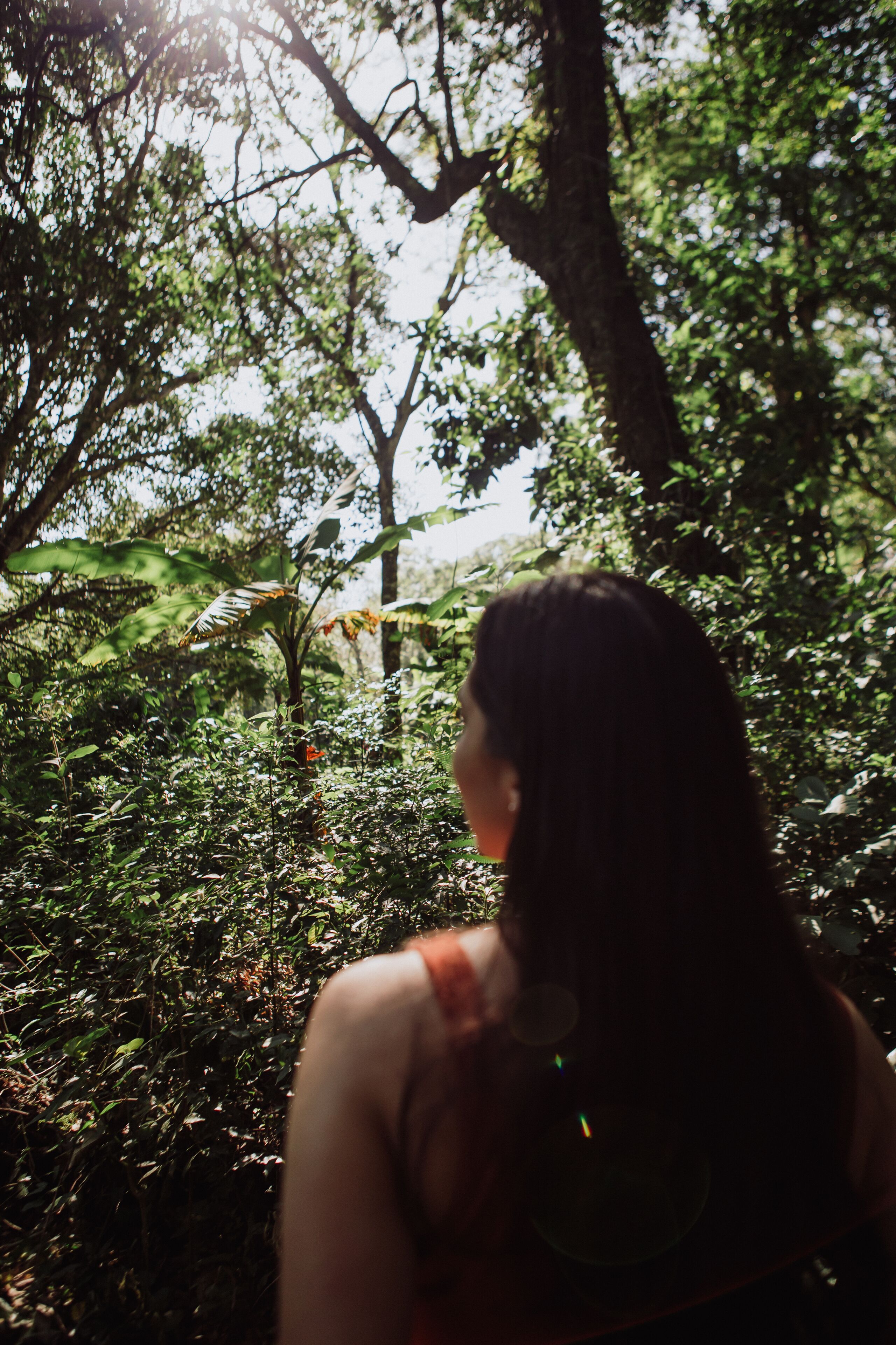 A person standing in a forested area with dense foliage and sunlight filtering through the trees.