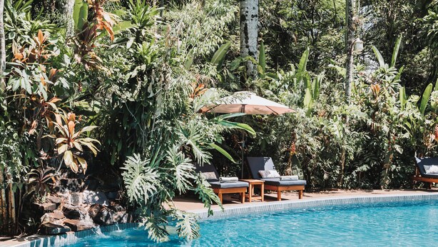 Ein Pool, umgeben von üppigem Grün, mit Liegestühlen und einem Tisch im Schatten eines Sonnensegels.