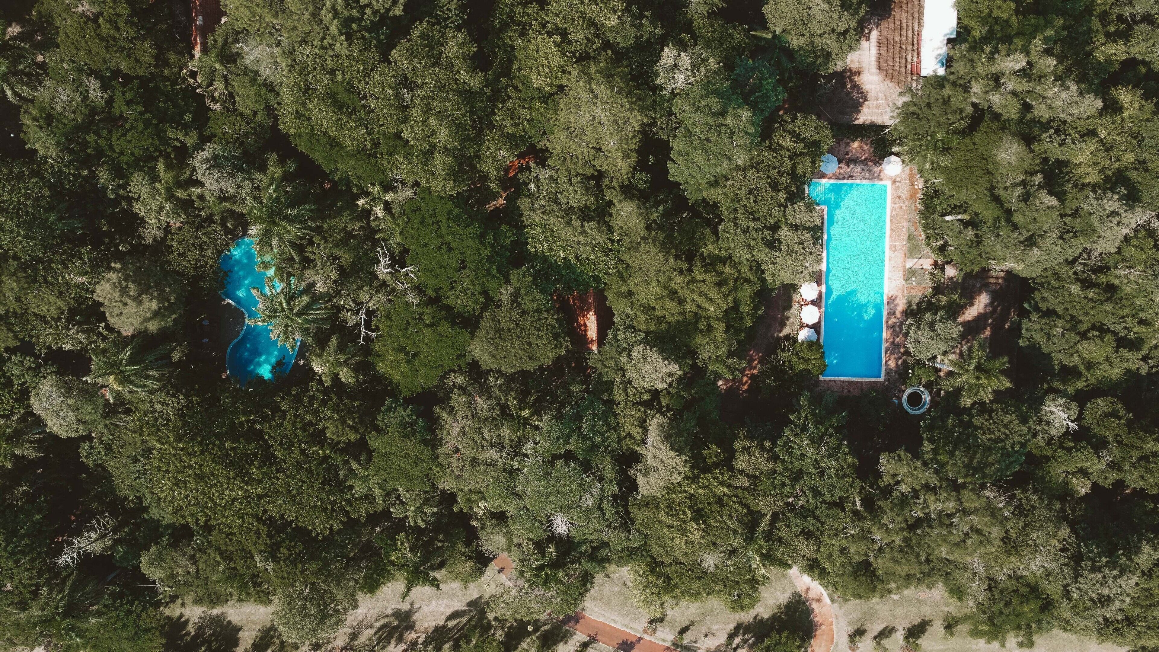 An aerial view of a property with a rectangular swimming pool surrounded by dense trees.