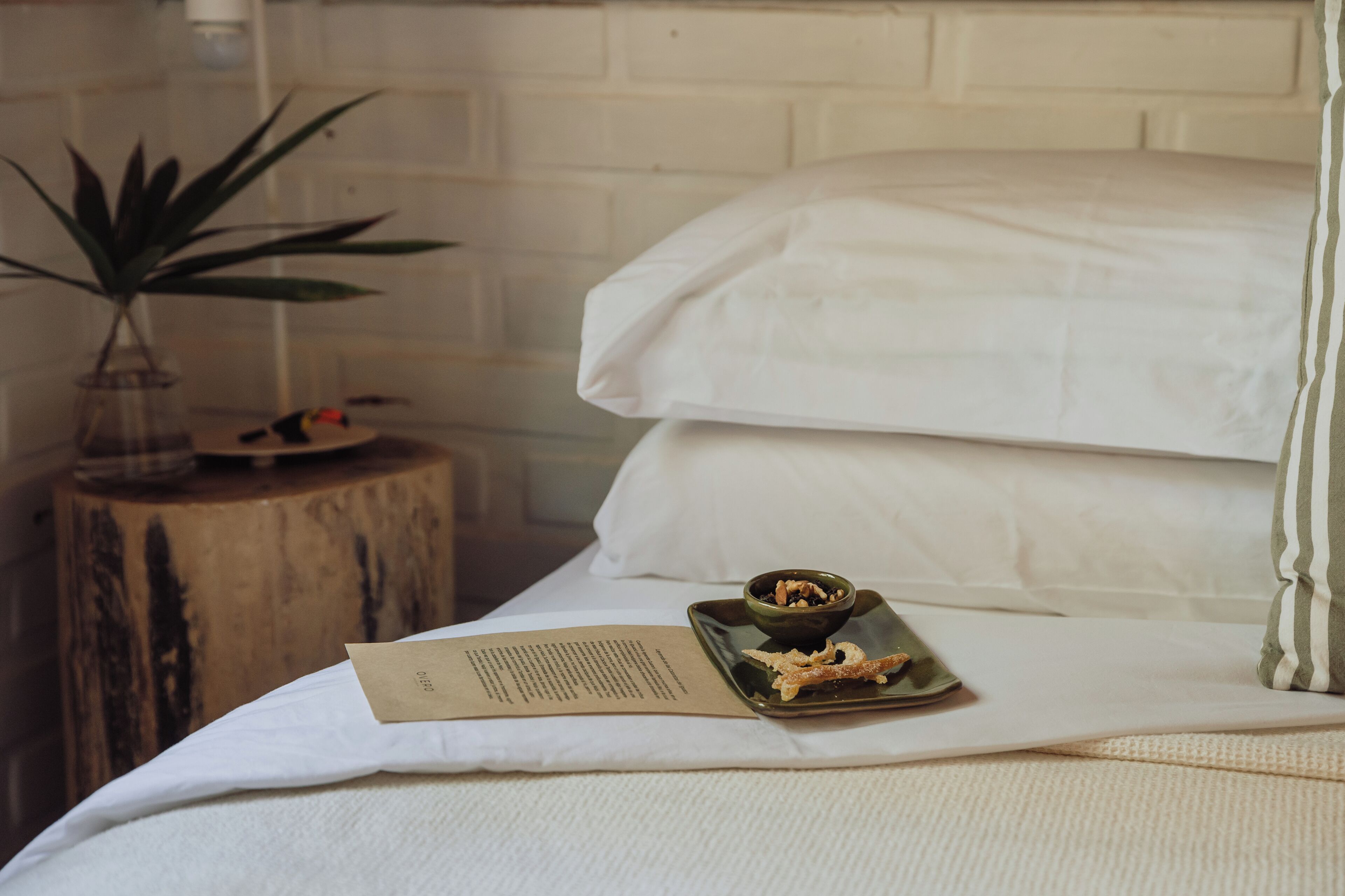 Photo - Overo Lodge & Selva