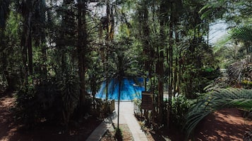 Outdoor pool, pool loungers