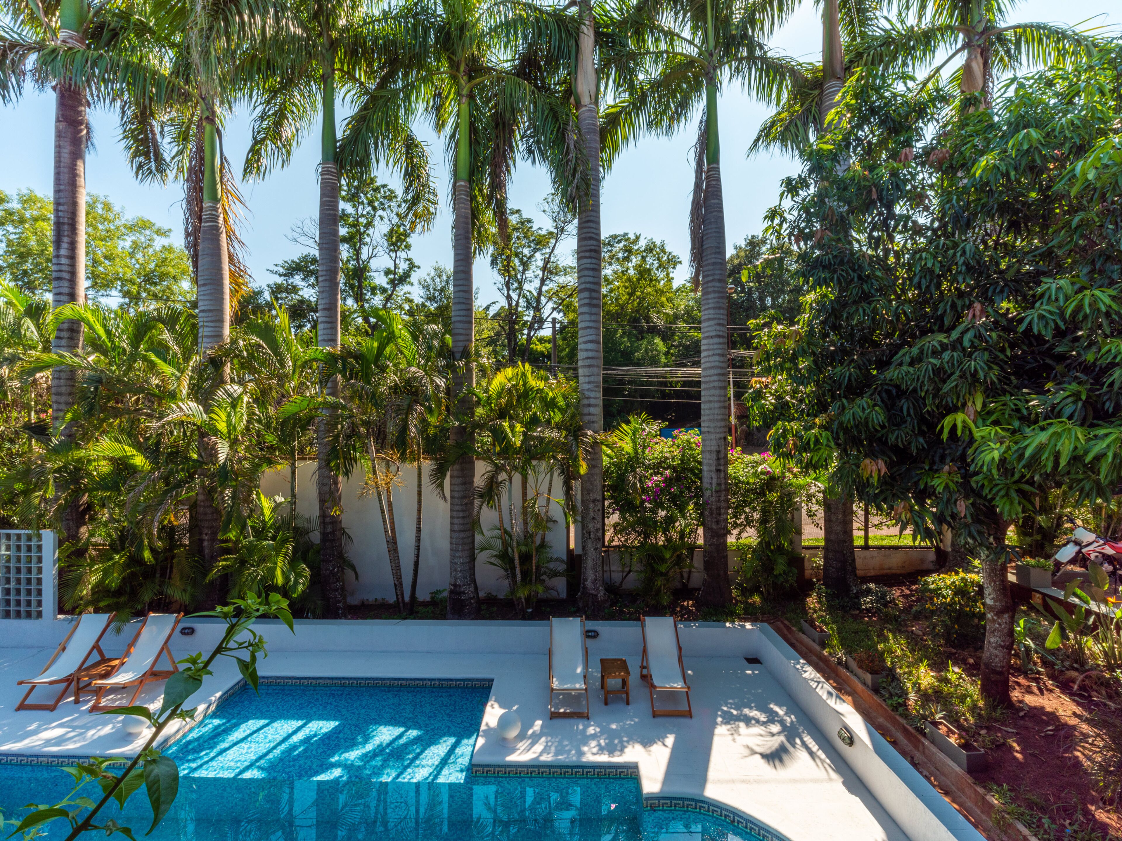 A pool area with lounge chairs, surrounded by tall palm trees and lush greenery.