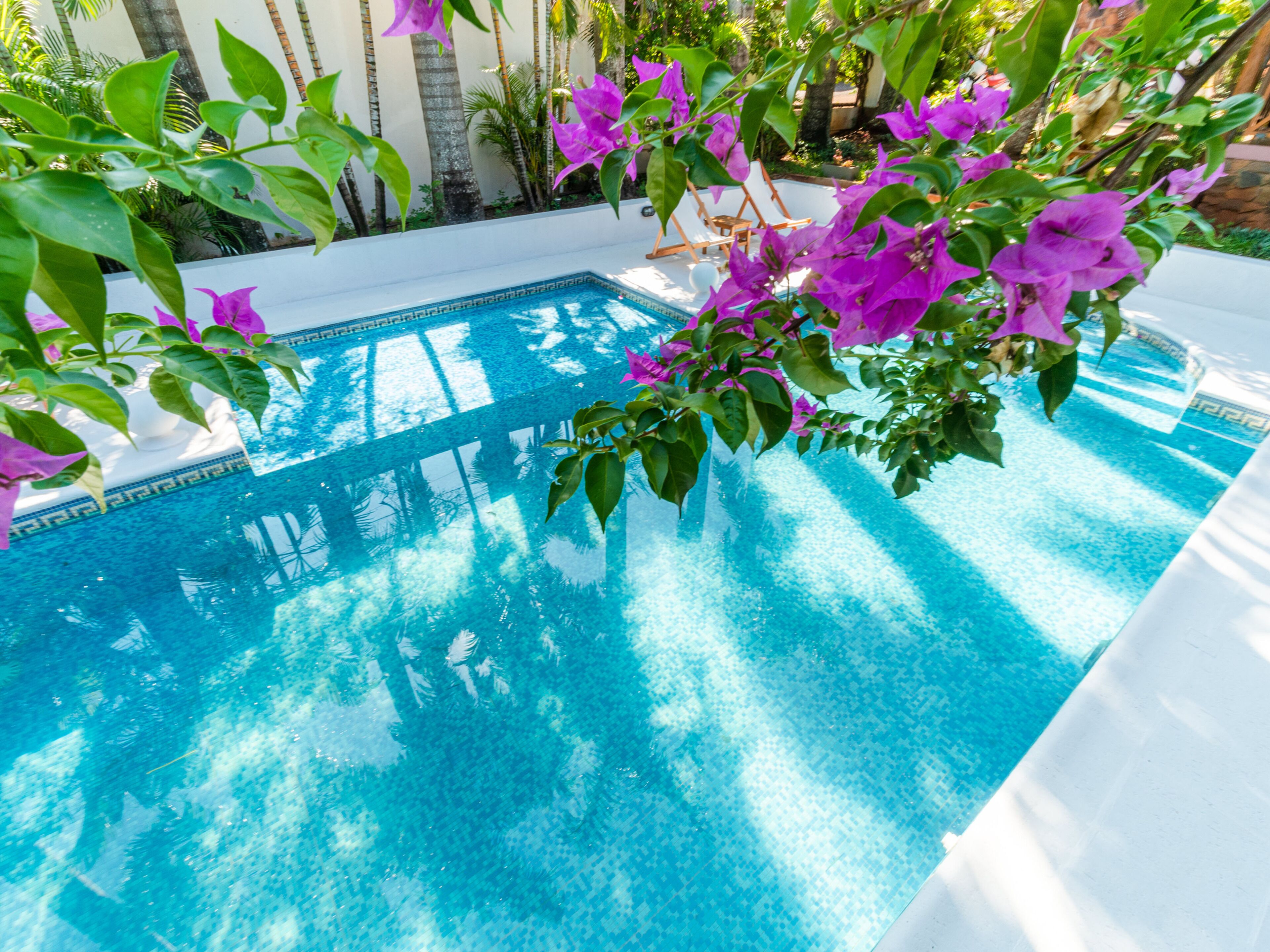 Piscina azul cristalina rodeada de vegetación exuberante y sillas de descanso blancas.