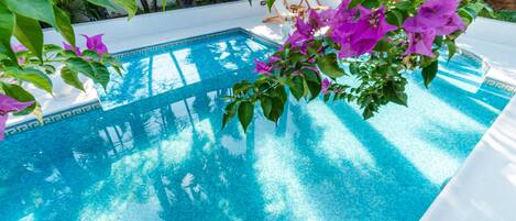 Piscina azul cristalina rodeada de vegetación exuberante y sillas de descanso blancas.
