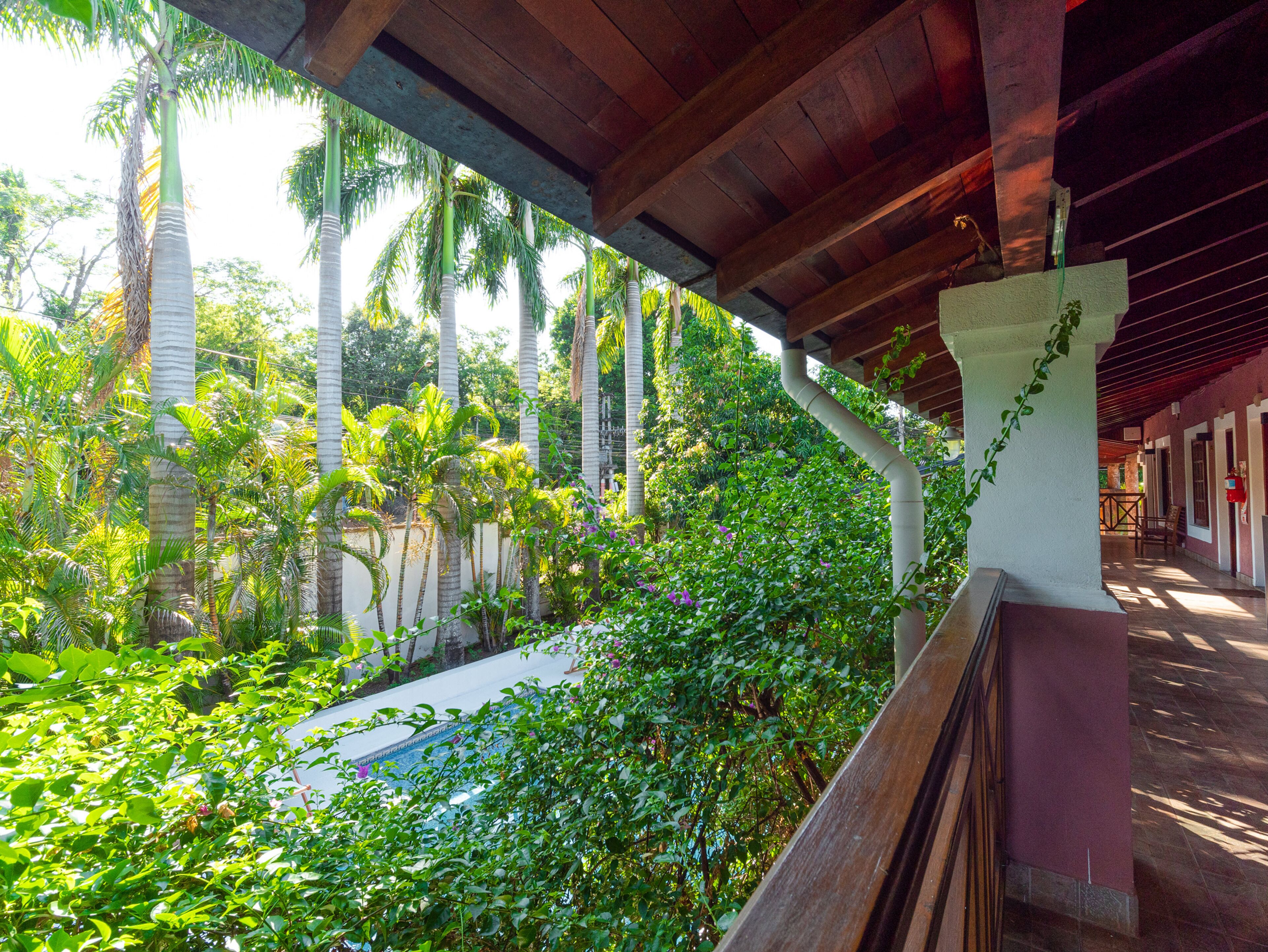 A covered outdoor area with a pool, surrounded by lush greenery and tall palm trees.