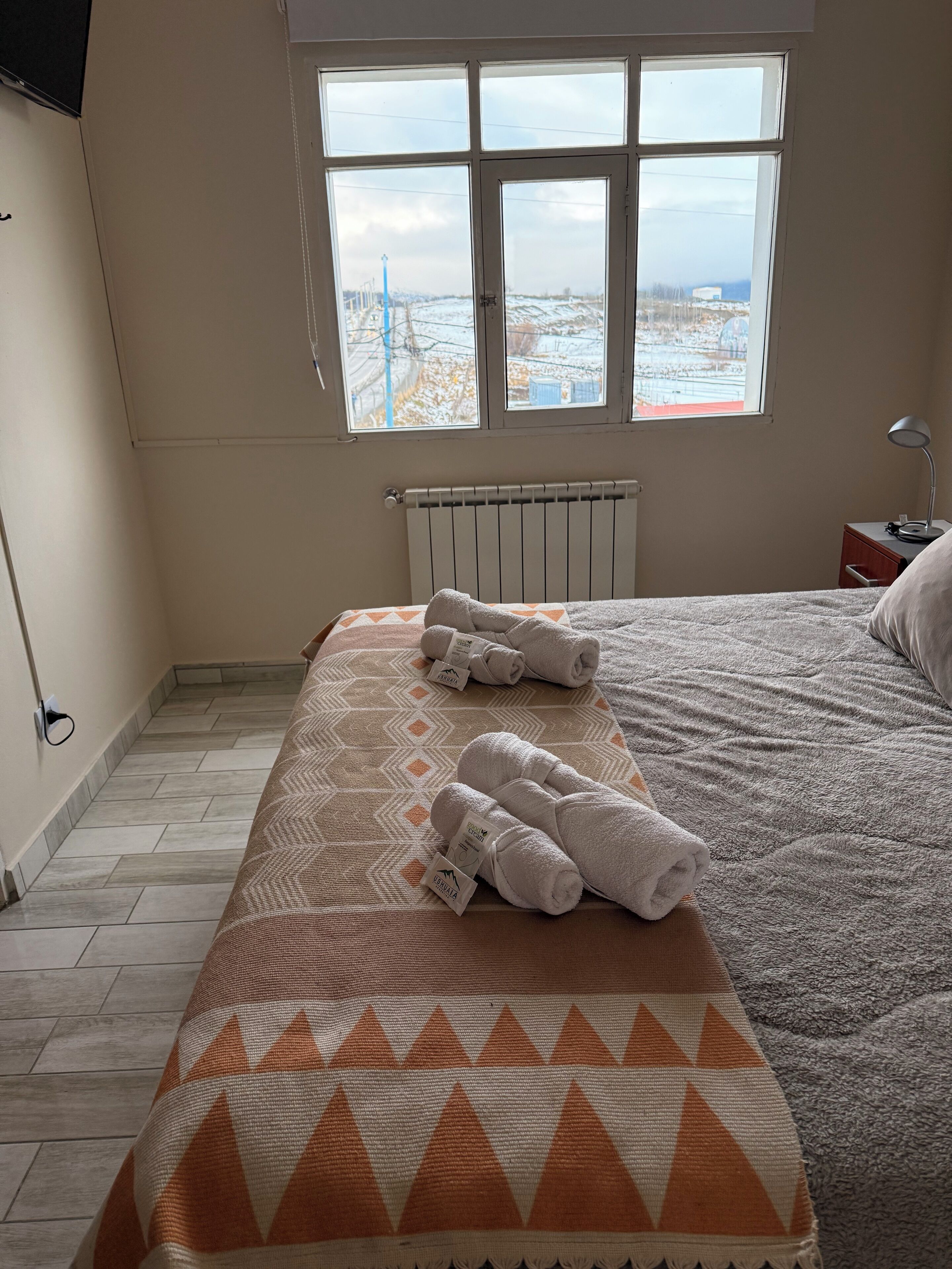 A bedroom with a bed, a window with a view of a snowy landscape, a radiator, and a bedside table with a lamp.