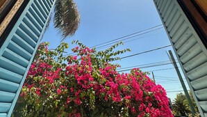 Vista pela janela com persianas, céu limpo e um arbusto de flores rosa.
