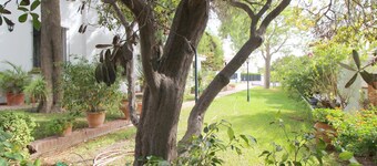 Del Parque Flats Villa Sauce