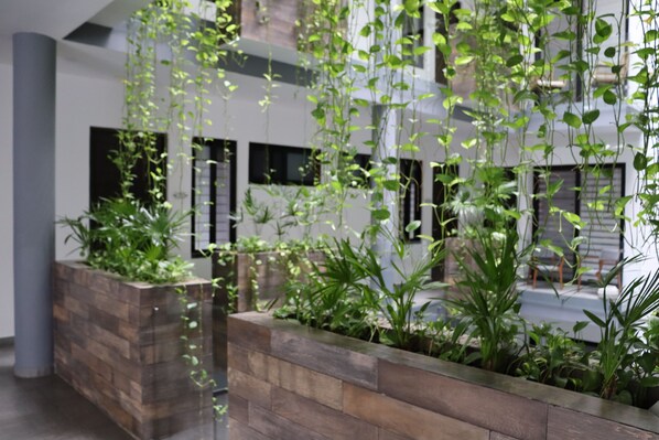 Terrein van de accommodatie