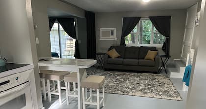 Home in the Center of the City!