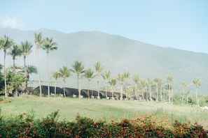 View from room - CHU Resort Hualien (Fenglin)