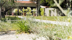 A garden with various plants and a building in the background. - Relais San Baio (Cecina)