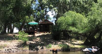 Gila Vintage Airstream RV- pet friendly