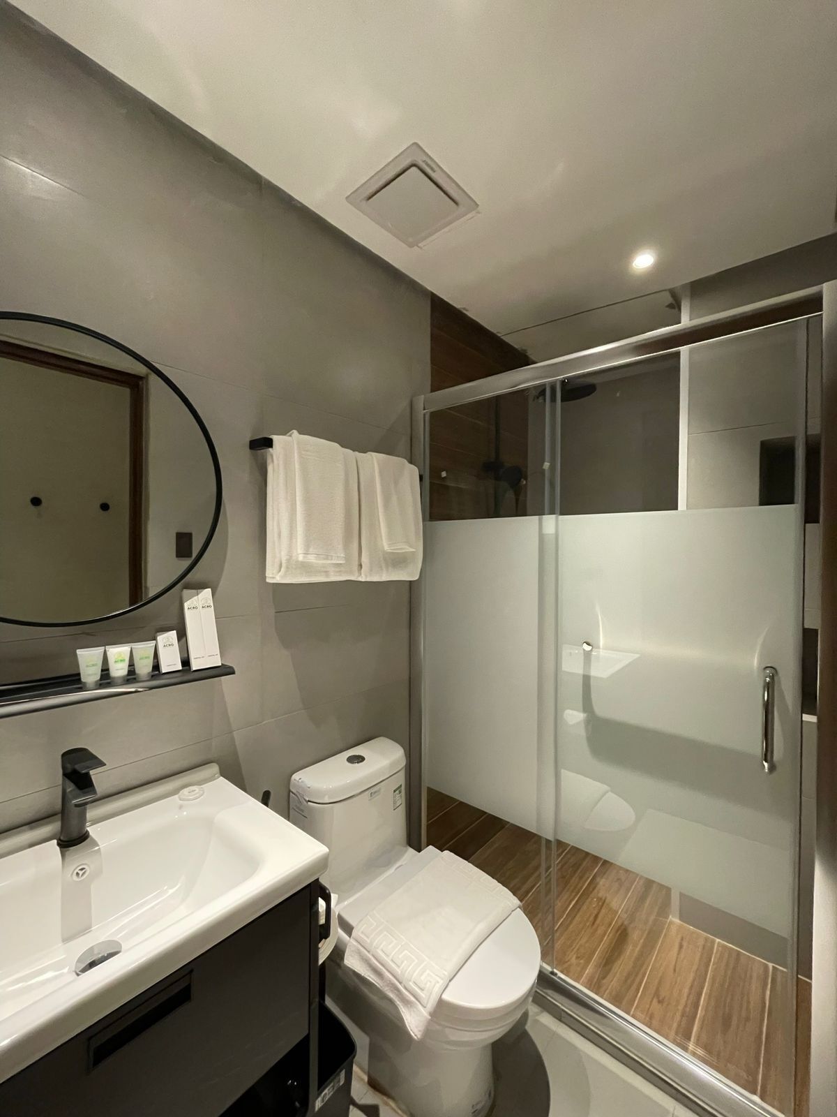 A modern bathroom with a sink, toilet, and glass shower enclosure.