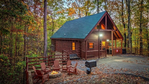 Fly into Bird's Nest, A Secluded Dog-Friendly 2 Bedroom Cabin w/ Game Room, Hot Tub, and Fire Pit!