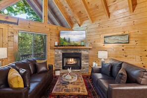 TV, fireplace, video games, books