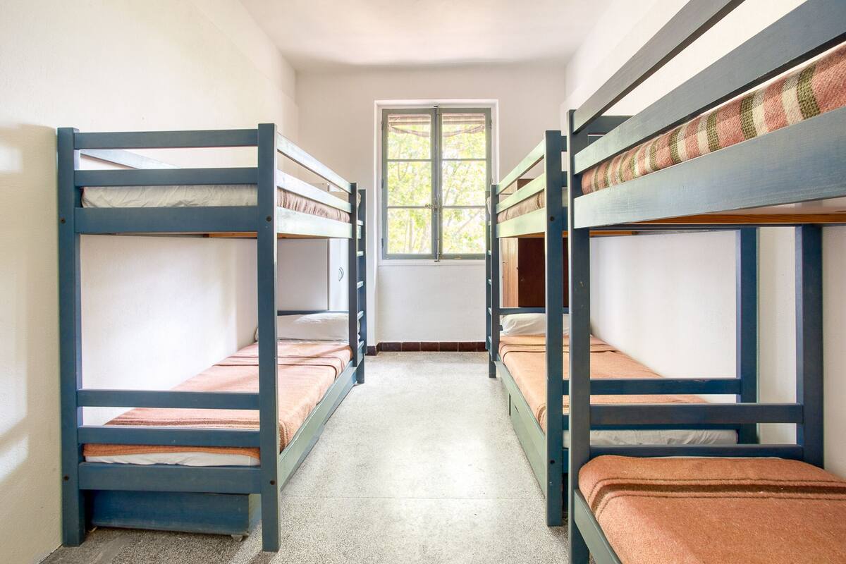 Una habitación con literas alineadas, una ventana con vista a árboles y una puerta a la derecha.
