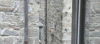 Apartment nestled in the heart of the medieval district S. Pellegrino