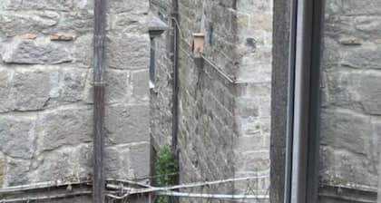Apartment nestled in the heart of the medieval district S. Pellegrino