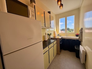 Fridge, microwave, stovetop, dishwasher