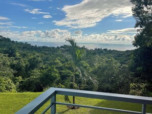 Property grounds - Exclusive Use of  the Entire Home and the Three Ocean View Suites (Ojochal)