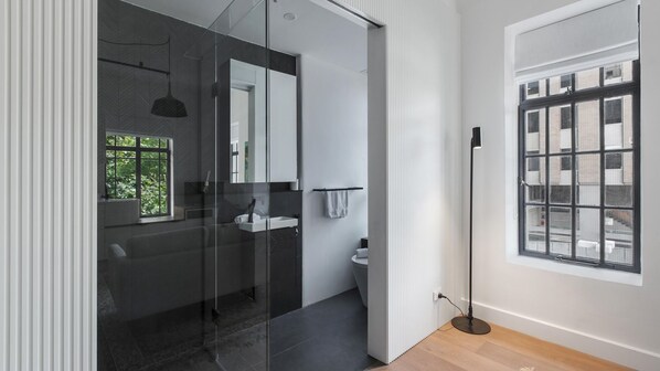 Shower, hair dryer, towels, soap