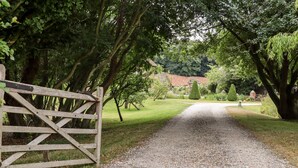 A gravel path leading through a wooded area with a wooden gate on the left. - Dovecote (Dover)