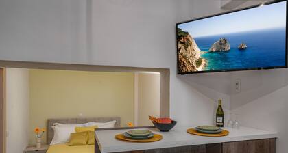 Andy & Hari's Elegant Town Studios