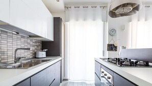 Et moderne køkken med en stålvask, indbygget ovn og gasblus.