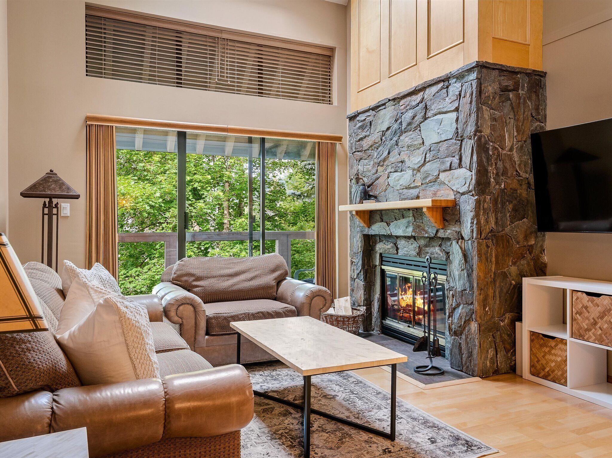 TV, fireplace, video games